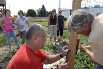 
Gonzaga University student Steve Yewcic  and Art Ross of East Valley Presbyterian Church build a bean pole behind the church.  Watching in the back, from left, are GU students Emily Jackson, Chris Rehwald, Jana Young and Mali Voloshin-Kile. The students are participating in a course called Leadership  Garden. 
 (Photosby DAN PELLE / The Spokesman-Review)