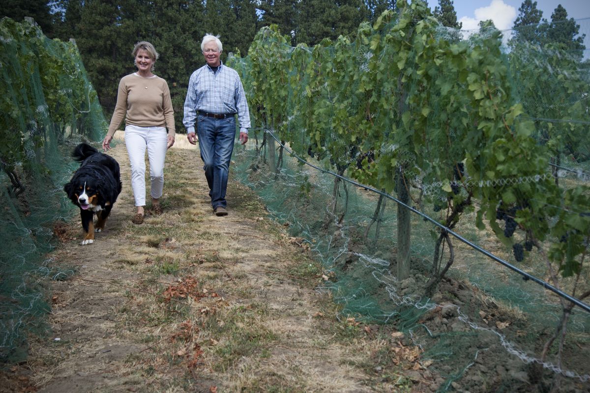 Owners Steve and Jeanne Schaub walk in the Red Hawk Ranch vineyard, the home of Regal Road Winery, where they produce wines with Spokane-area grapes. Regal Road is south of Spokane off the Old Palouse Highway. (Jesse Tinsley)