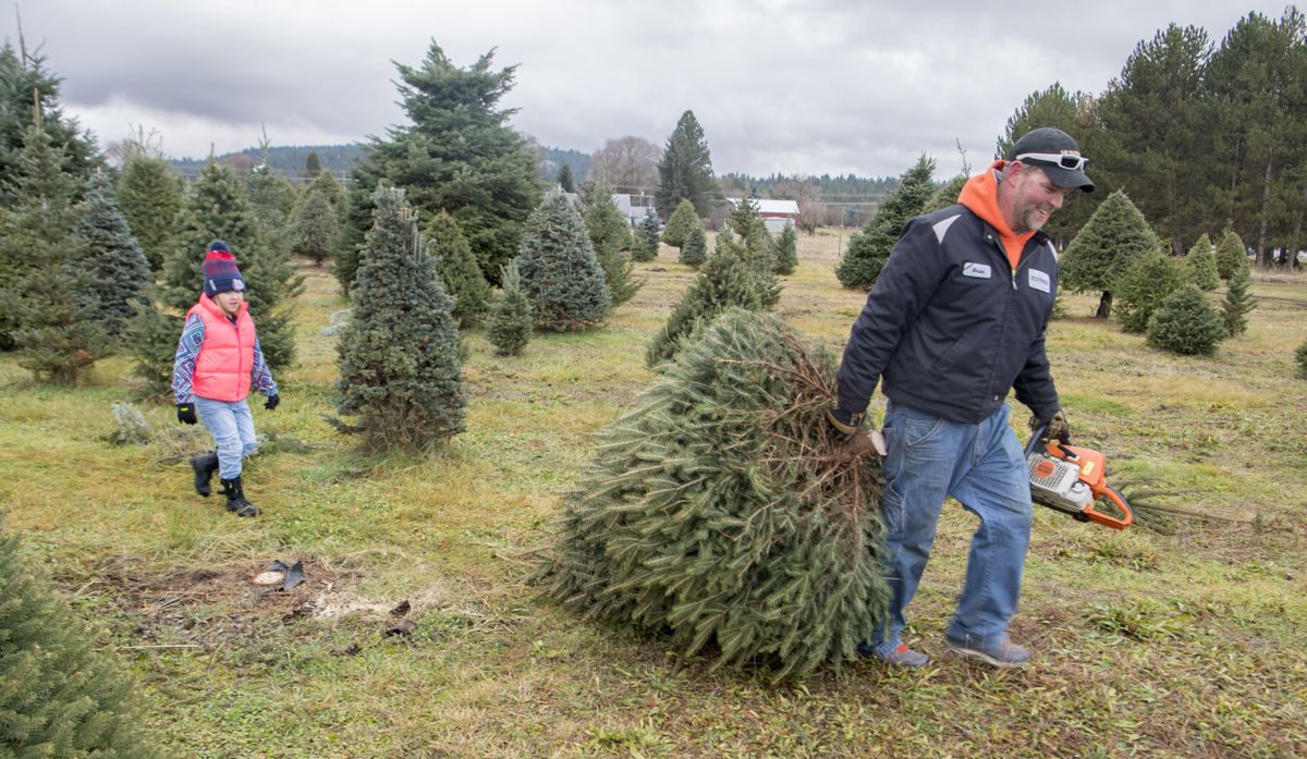 Bergman's Tree Farm - Dec. 4, 2017 | The Spokesman-Review