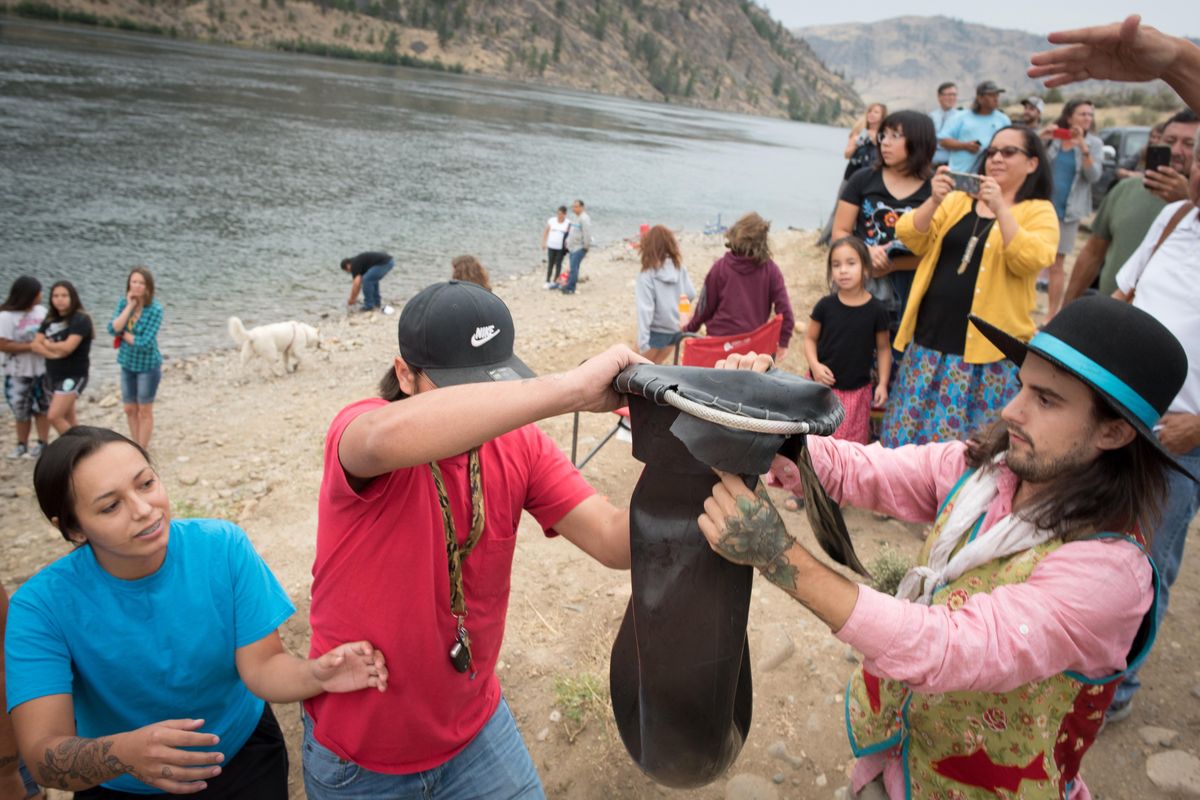 Members of the Colville Confederated Tribes pass a live Chinook salmon to each other on Friday August 9, 2019. The Colville tribes released 30 salmon into the Columbia River upstream of the Chief Joseph Dam, Friday. (Eli Francovich / The Spokesman-Review)