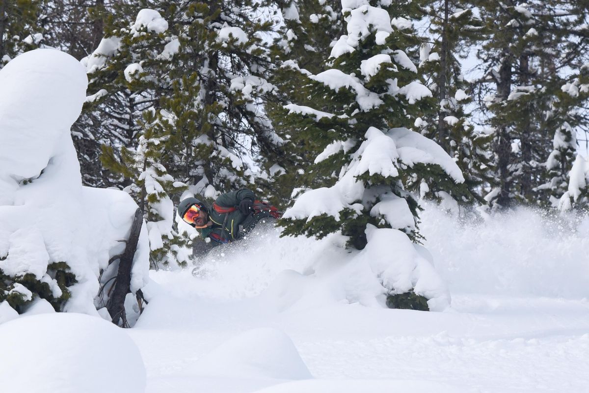 Will Holmquist skis through trees on Saturday Jan. 5, 2019 near Lookout Pass. (Eli Francovich / The Spokesman-Review)