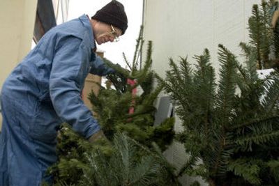 
Chris Magart, the lot manager at Santa's Tree Farm at the intersection of University and Sprague in Spokane Valley, inspects some of the smaller trees on the lot Sunday. 
 (Joe Barrentine / The Spokesman-Review)