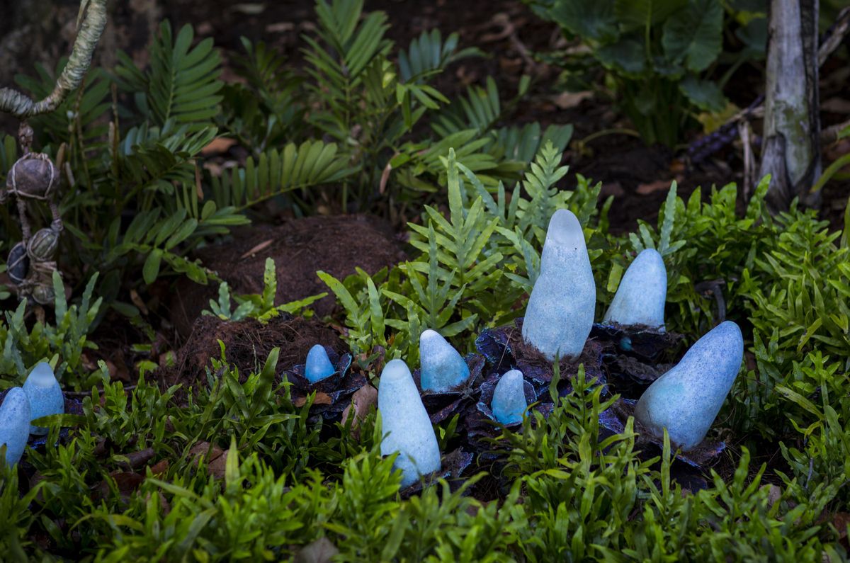 Disney World S Pandora Takes Avatar To New Level Of Immersion The Spokesman Review