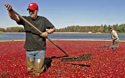 
Poor weather conditions and rising demand may lead to shortages of cranberries by Christmas.Associated Press
 (File Associated Press / The Spokesman-Review)