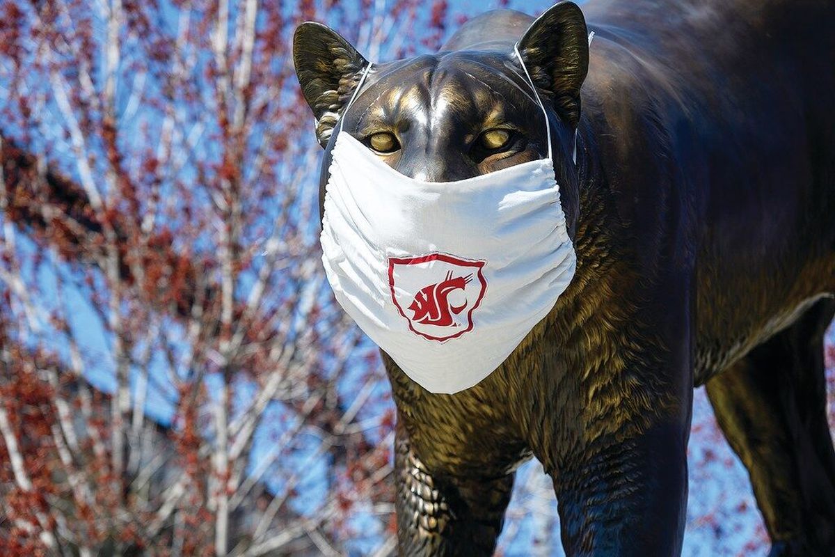 Unknown people placed a COVID-19 face mask over the mouth area of the Cougar Pride statue outside Martin Stadium on the Washington State University Pullman campus, Friday, April 17, 2020.   (Associated Press)