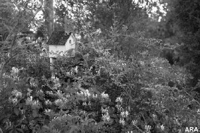 
By landscaping especially for birds, you can make part of the world feel like home for birds. 
 (ARA / The Spokesman-Review)