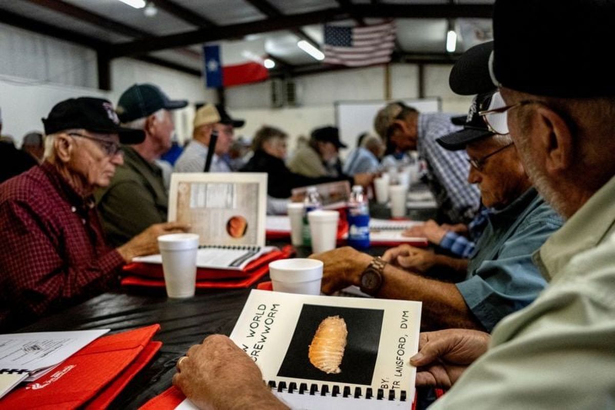 Cattle ranchers attend a presentation on the threat of the New World Screwworm during the Fayette County Cow/Calf Clinic and Trade Show in La Grange, Texas, U.S., May 1, 2026. REUTERS/Joel Angel Juarez  (Joel Angel Juarez)