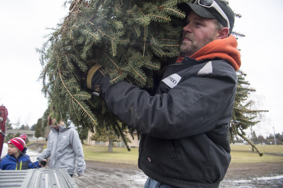 Bergman's Tree Farm - Dec. 4, 2017 | The Spokesman-Review