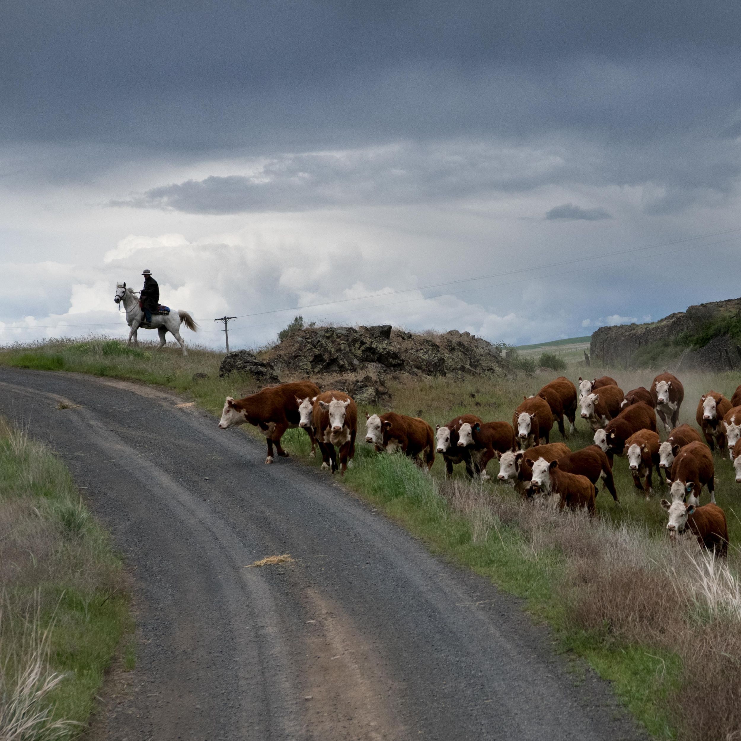 Ranchers wrangle a living history out of Eastern Washington scablands | The  Spokesman-Review