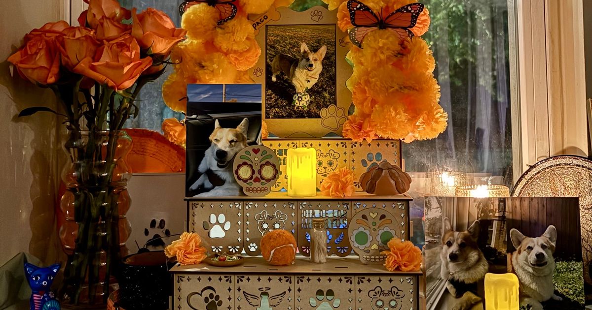 Pets usher in Day of the Dead, are remembered with photos, toys and treats