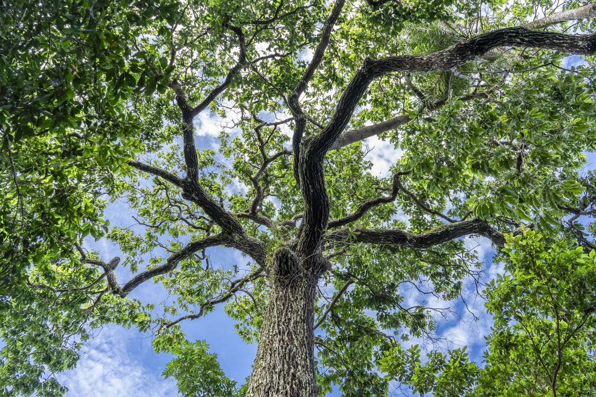 Most of the restoration job will be left to Mother Nature. (Ana Mendes / Washington Post)