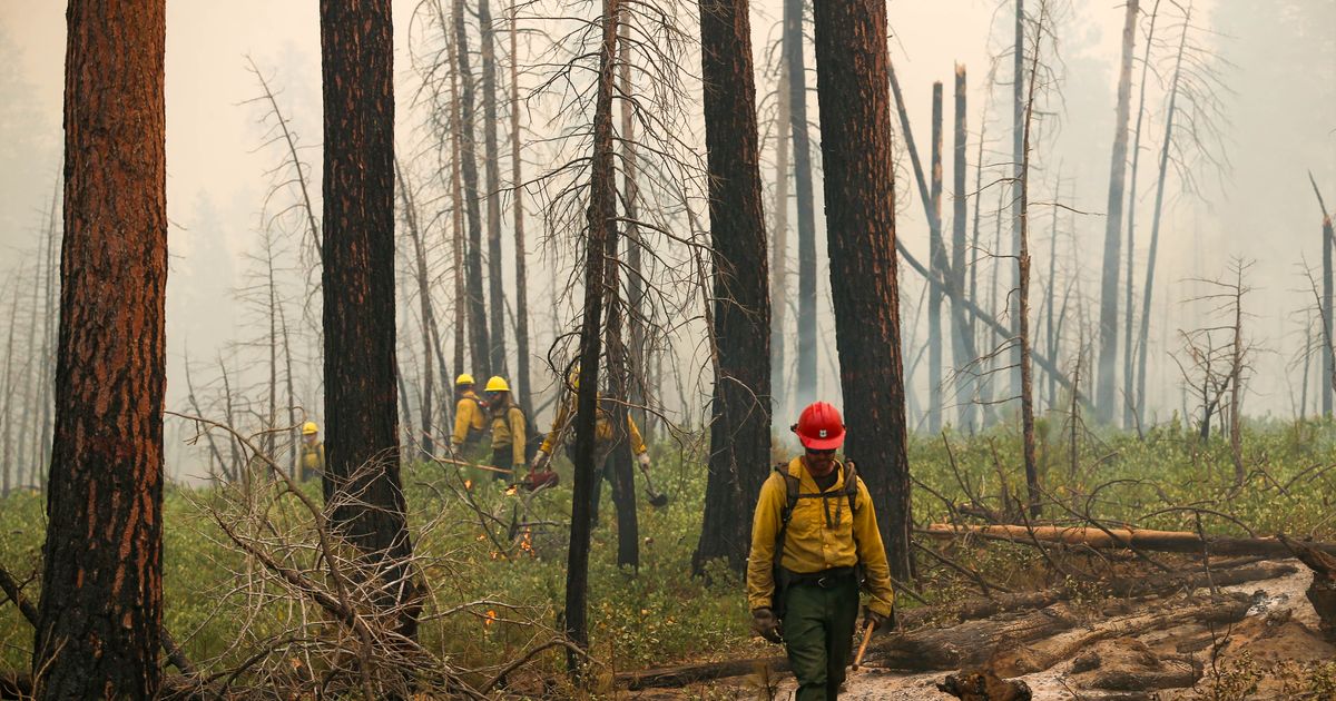 National Guard joins fire fight near Mount Hood as Oregon wildfires scorch more than 2.2 million acres statewide