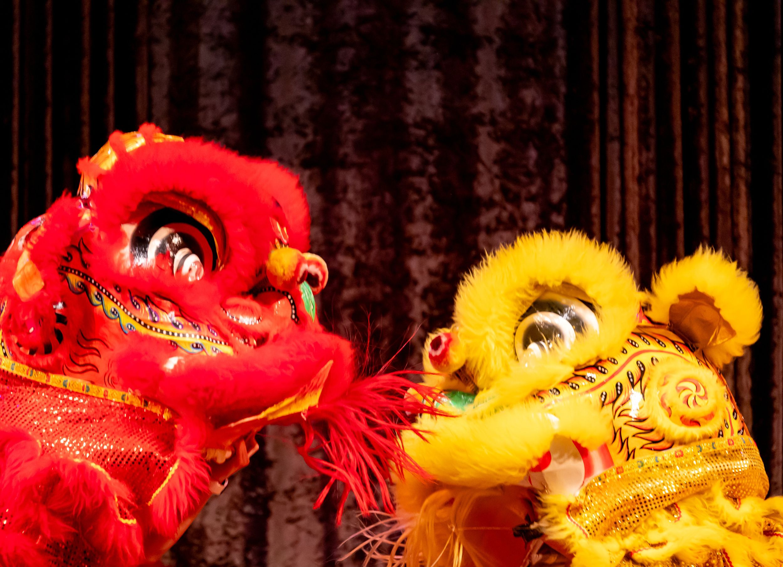 Spokane Chinese Association brings Lunar New Year celebration to