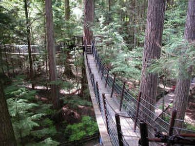
Seven bridges carry visitors about 100 feet above the forest floor at Treetops Adventure at the Capilano Suspension Bridge and Park in North Vancouver, B.C. 
 (Knight Ridder Tribune / The Spokesman-Review)