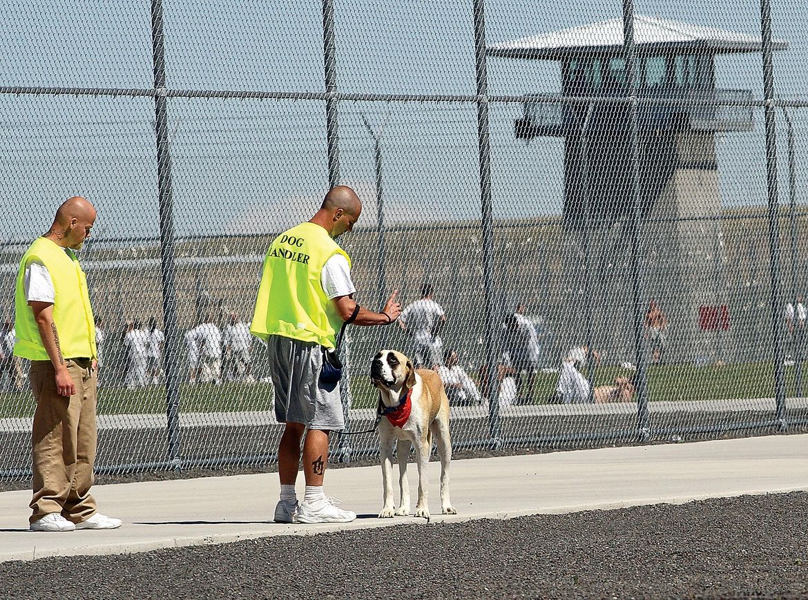 12 inmates, 4 employees at Coyote Ridge prison test positive for COVID