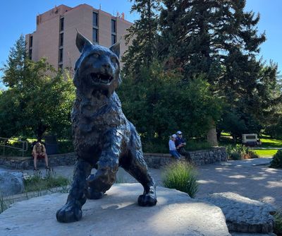 Montana State University doesn’t owe a student a refund when it closed down in-person education during the pandemic, the Montana Supreme Court ruled.  (Keila Szpaller/Daily Montanan)