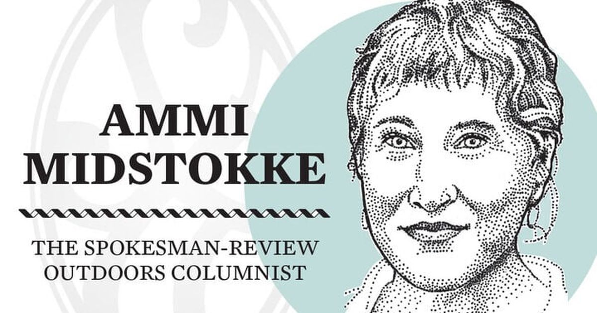 Ammi Midstokke: Hunting for Greece’s fungal treasures