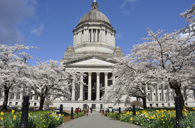 OLYMPIA -- The cherry blossoms, shown here in a photo taken a month ago, are gone but legislators aren't finished yet as the special session finishes its first week. (Jim Camden/The Spokesman-Review)