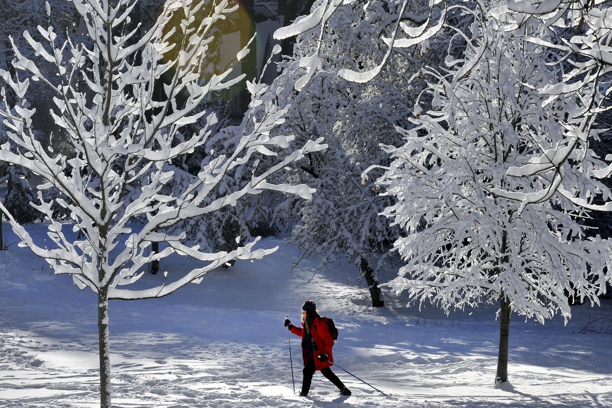 Inge Sandvoss, 71, enjoys a winter wonderland while cross country skiing around Cannon Hill Park, Dec. 31, 2010 in Spokane, Wash. Sandvoss says when there is enough snow, she skis through the neighborhood instead of going to Mt Spokane. (Dan Pelle / The Spokesman-Review)