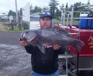 Steven Charles Orr of Rochester, Washington, holds the state record black rockfish he caught near Ilwaco on May 15, 2016. The fish weighed 10.72 pounds.
  (Courtesy)