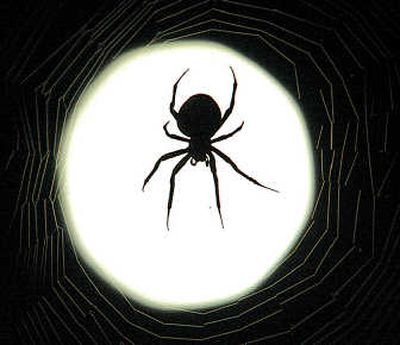 
Getting information about caring for everything from spider bites to the bubonic plague is just a click away at surviveoutdoors.com.Associated Press
 (File Associated Press / The Spokesman-Review)