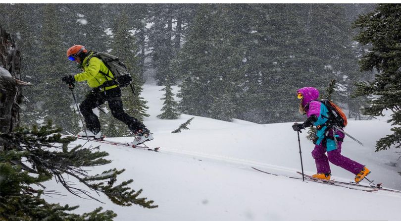 Backcountry skiers are served by highly-developed gear choices. (G3 & Doglotion Media)