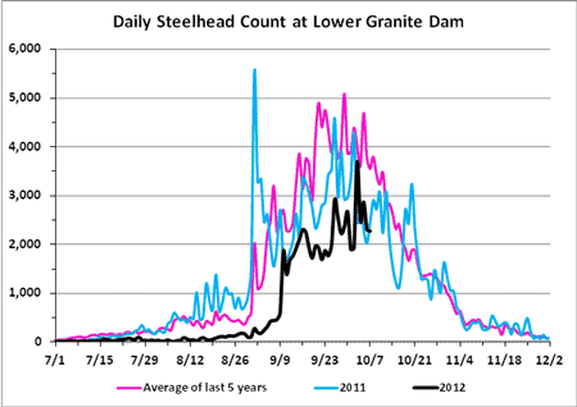 Steelhead passage over Lower Granite Dam as of Oct. 8, 2012. (Fish Passage Center)