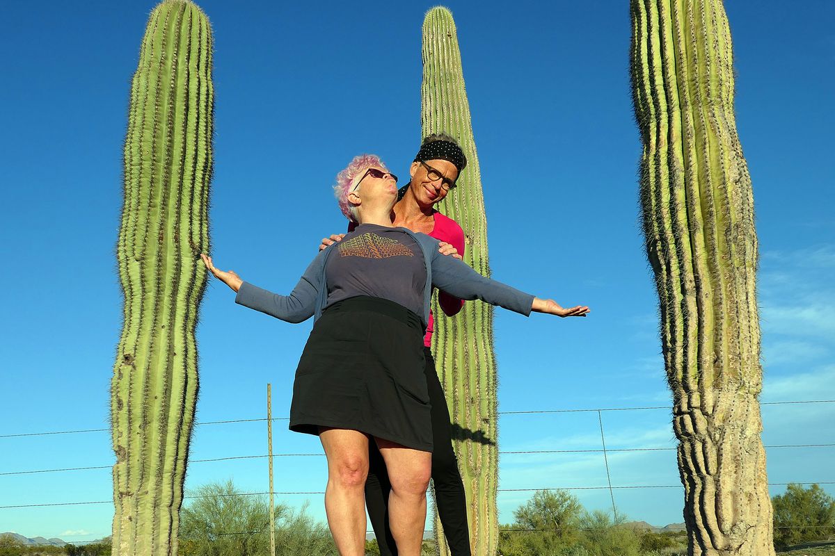 Gila Bend: We marveled in the beauty of the Sonoran Desert. (John Nelson)