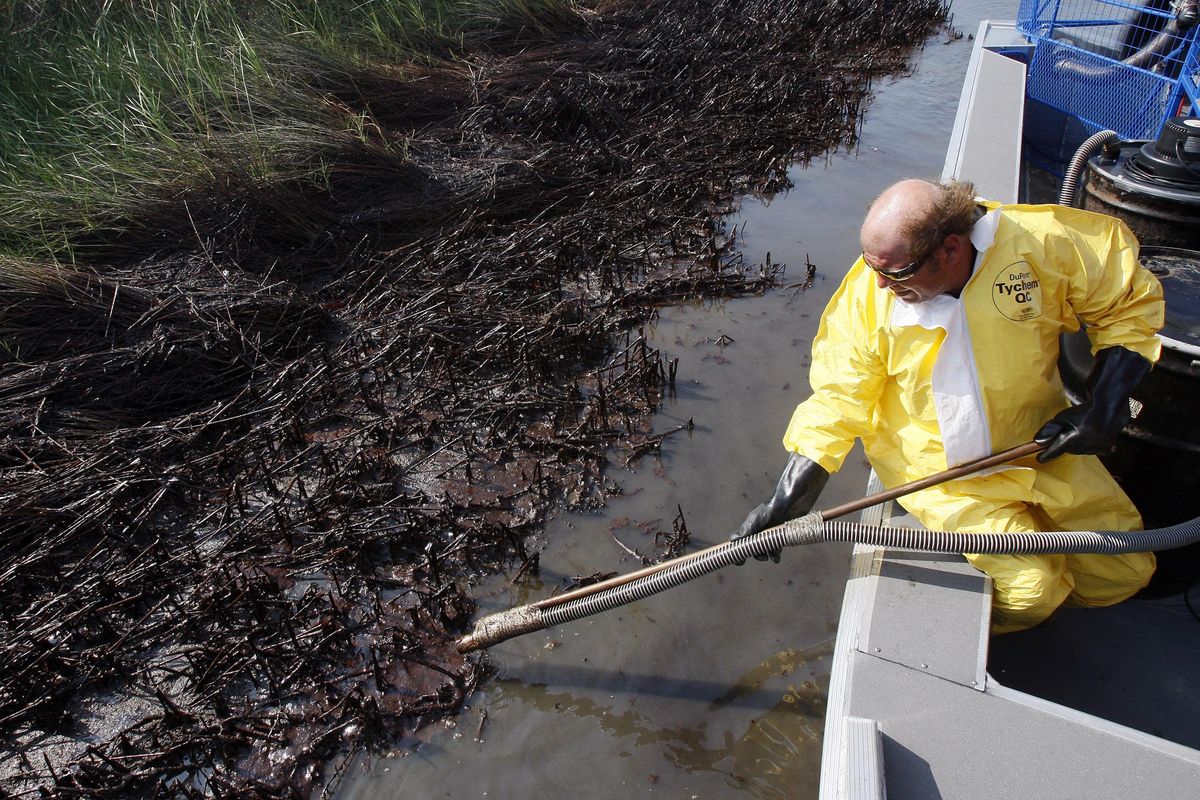 Harold Cline vacuums up oil that recently washed up in Barataria Bay on the coast of Louisiana on Saturday.  (Associated Press)