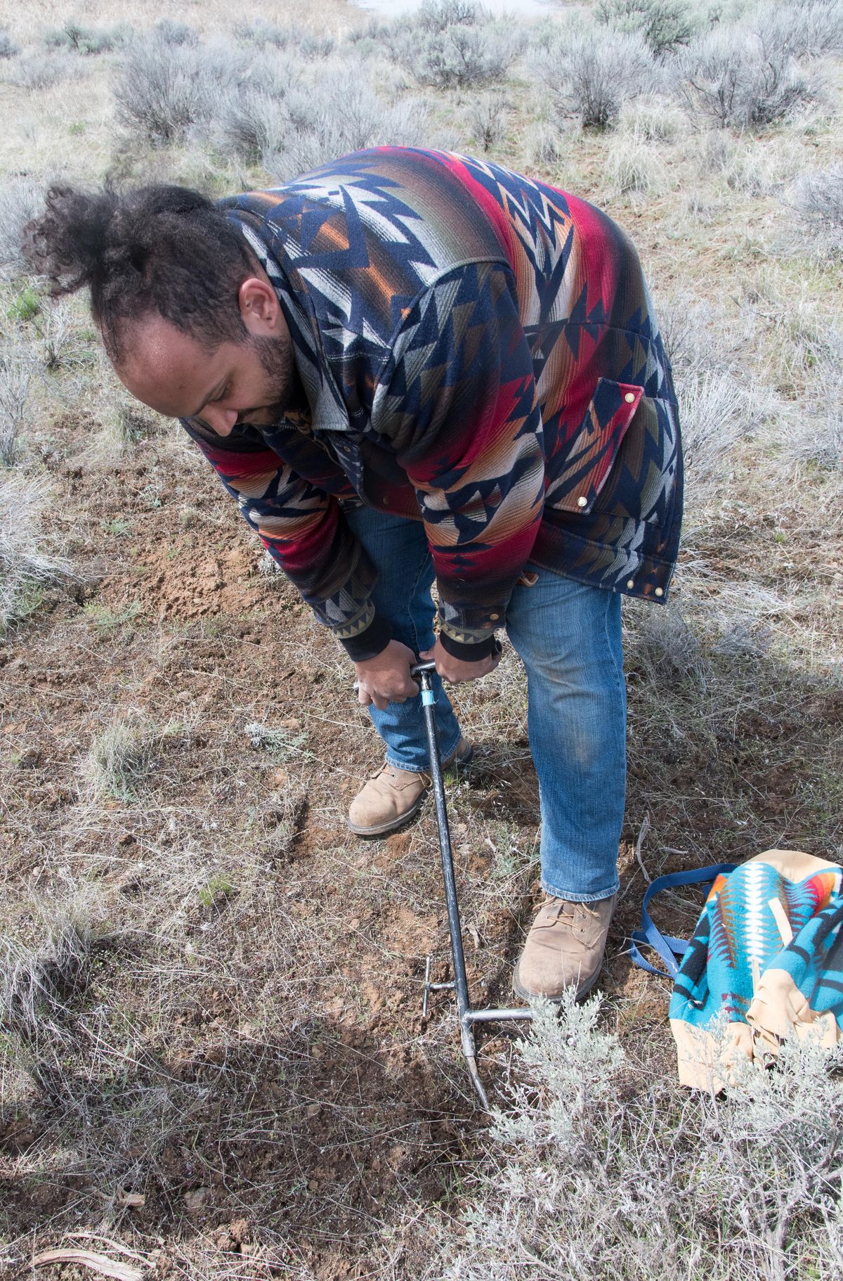 Anthony McKinsey digs for roots near Swanson Lakes east of Spokane on April 22. (Eli Francovich / The Spokesman-Review)