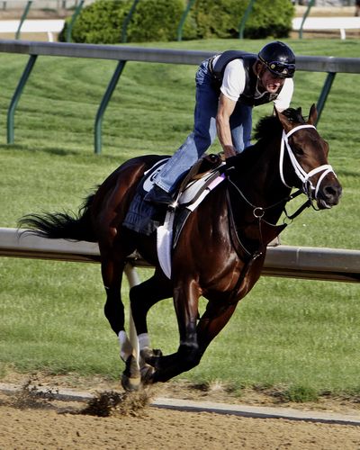 Jockey Calvin Borel will ride Derby winner Super Saver at Preakness Stakes.  (Associated Press)