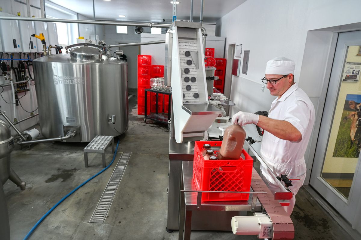 Stacy Thomas, who operates Clover Creek Dairy, bottles chocolate milk in glass bottles at the Columbia Community Creamery in Chewelah, Washington where the small volume processor is trying to establish a local dairy market for their products. The creamery is operated as a non-profit by three different dairy farms. At left is the large pasteurizing vat.  (Jesse Tinsley/The Spokesman-Review)
