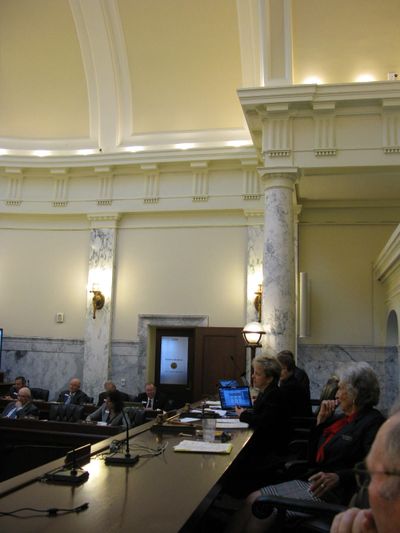 Sen. Shawn Keough, R-Sandpoint, presides over the Joint Finance-Appropriations Committee on Thursday as it completes three weeks of setting agency budgets (Betsy Z. Russell)