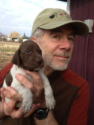 Rich Landers holds a three-week-old German shorthair pointer at Dunfur Kennel near Cheney. (Dunfur Kennel)
