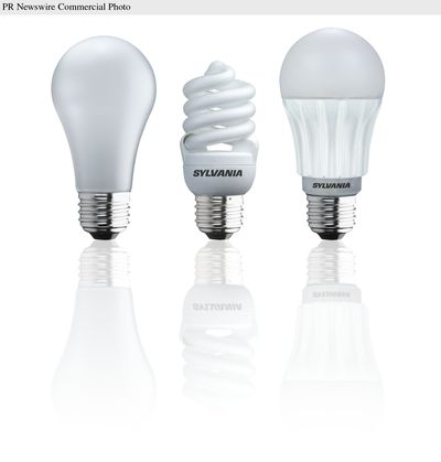 Start cutting costs by picking energy-saving light bulbs.