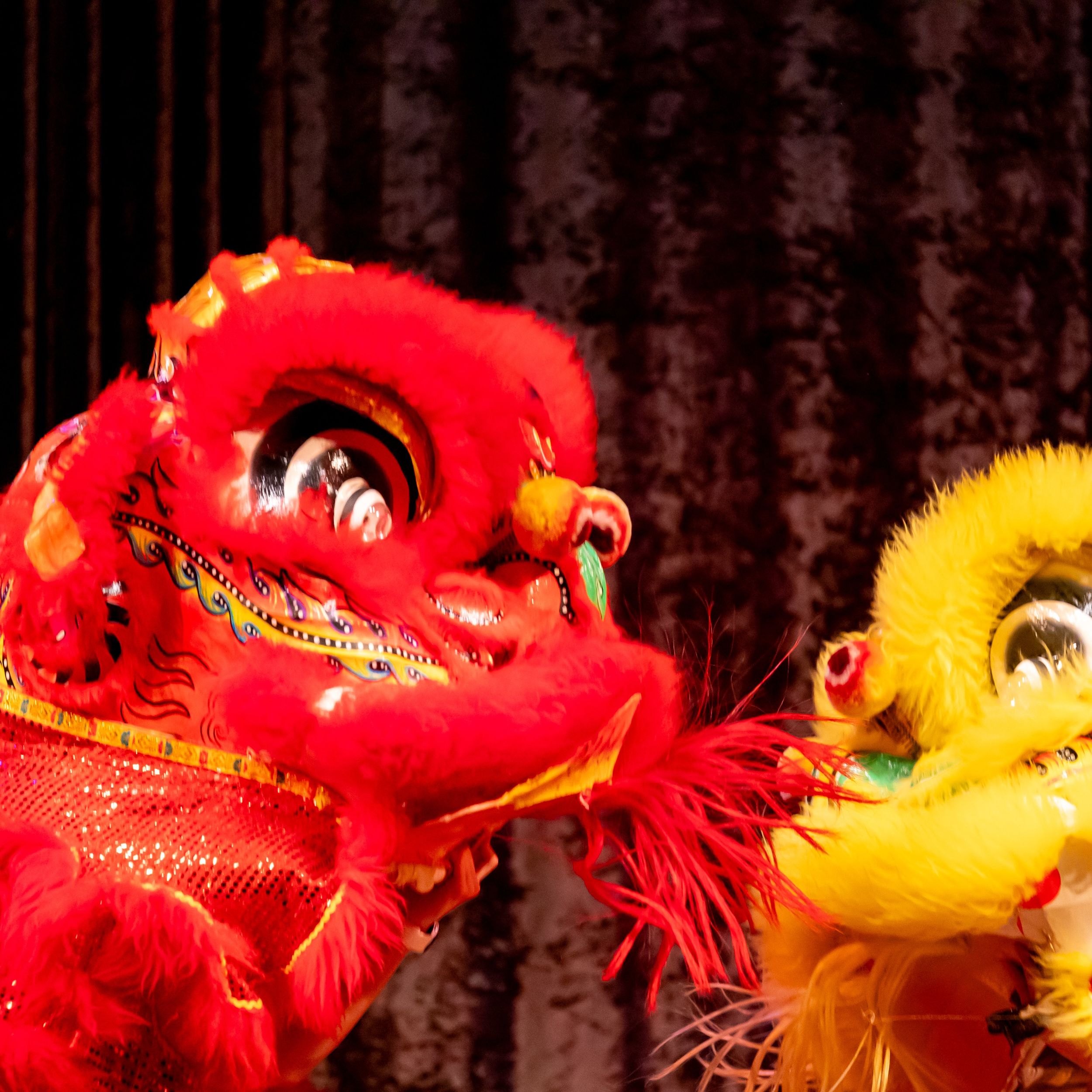 ウォーキング・ランニングウェア  Chinese Lunar New Year Collection 698e2f8f0621c.hires.jpg