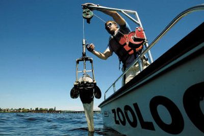 
University of Washington research technologist Casey Ruff retrieves a device used to take samples of plankton last month off Madison Park beach as part of an ongoing research effort to monitor Lake Washington that began decades ago. 
 (Associated Press / The Spokesman-Review)