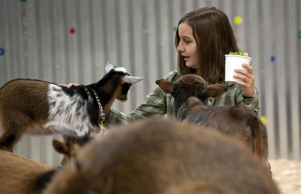 Big Red's Barn Indoor Animal Experience and Education Nov. 10, 2019