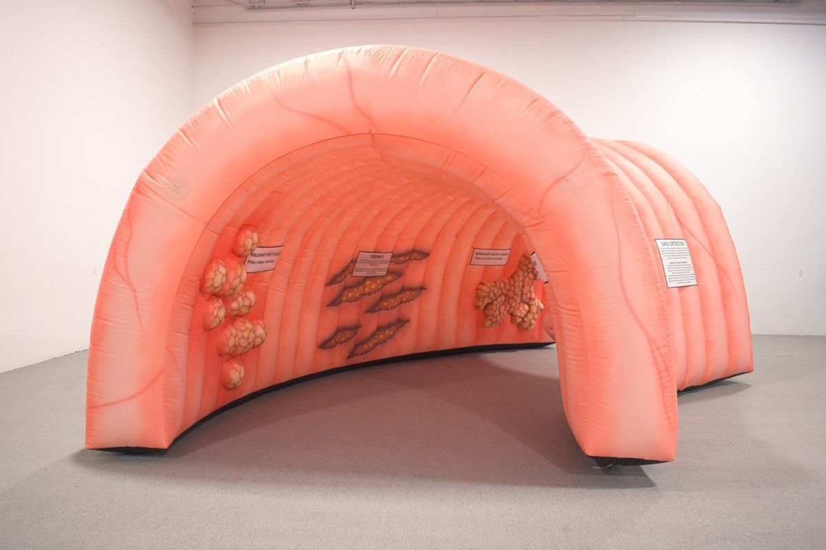 This inflatable colon display is set up at health fairs to teach about colon-cancer screening. The Spokane office of Fred Hutch Cancer Center Community Outreach & Engagement is holding a naming contest for the local display. The entries will be accepted through Aug. 31.  (Courtesy)