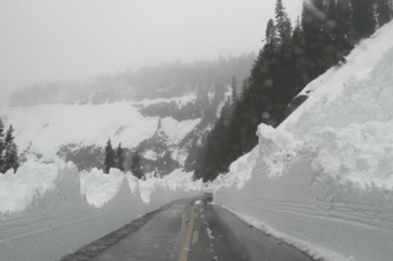 The road the Cayuse Pass was cleared of winter snow and reopen for travel on May 3, 2012, by Washington Department of Transportation crews.  (Washington Department of Transportation)