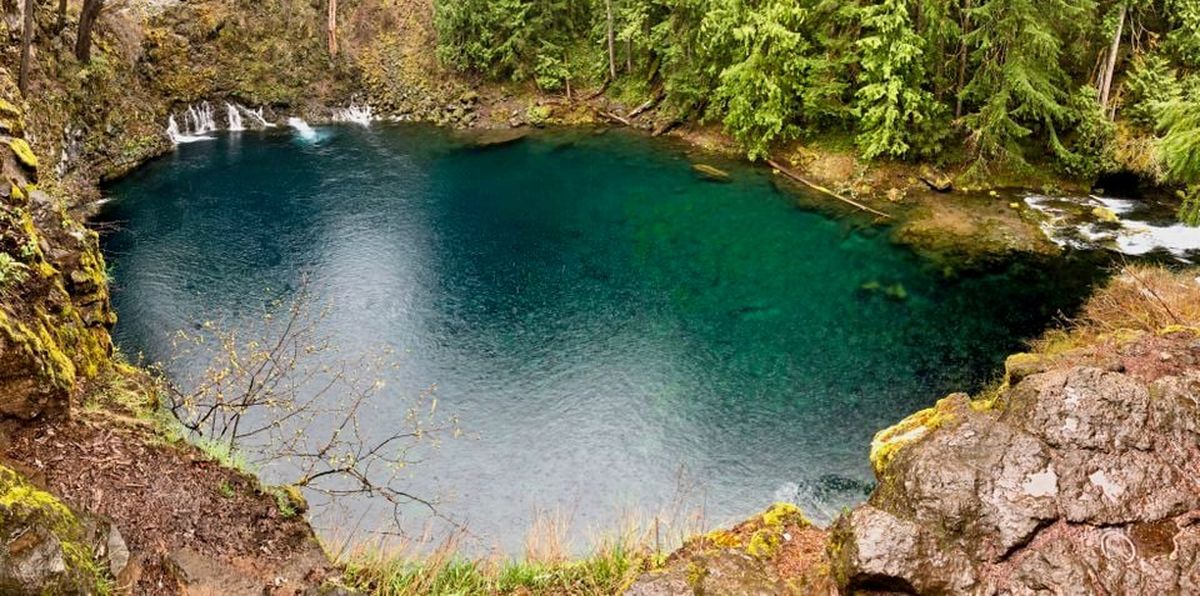 Blue Pool, also known as Tamolitch Falls, is a natural pool formed by water seeping up through porous rock that came from a lava flow that buried a three-mile stretch of the river. The pool is found on the McKenzie River Trail in Oregon’s central Cascade Mountains.  (Tribune News Service)