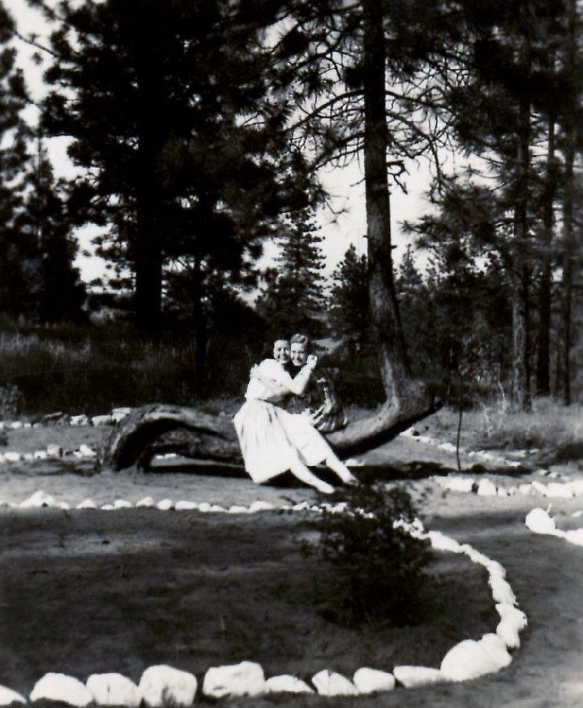 Whitworth Tree, 1948 (WHITWORTH UNIVERSITY ARCHIVES / WHITWORTH UNIVERSITY ARCHIVES)