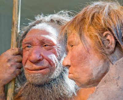 This 2009 Associated Press file photo shows reconstructions of a Neanderthal man named 