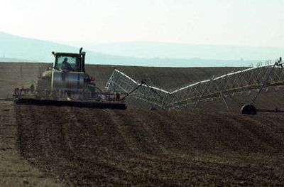 
Potato growers in Idaho spearheaded the drive to create United Potato Growers of America; the spud cartel's manipulation of supply is perfectly legal.
 (File / The Spokesman-Review)