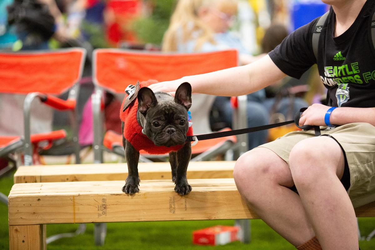 Dog outdoor fashion show (Feb. 23) Feb. 23, 2020 The SpokesmanReview