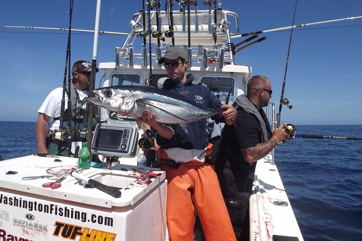 Skipper Mark Coleman holds a 30-pound albacore aboard one of the two specialized tuna boats he moors on Westport
