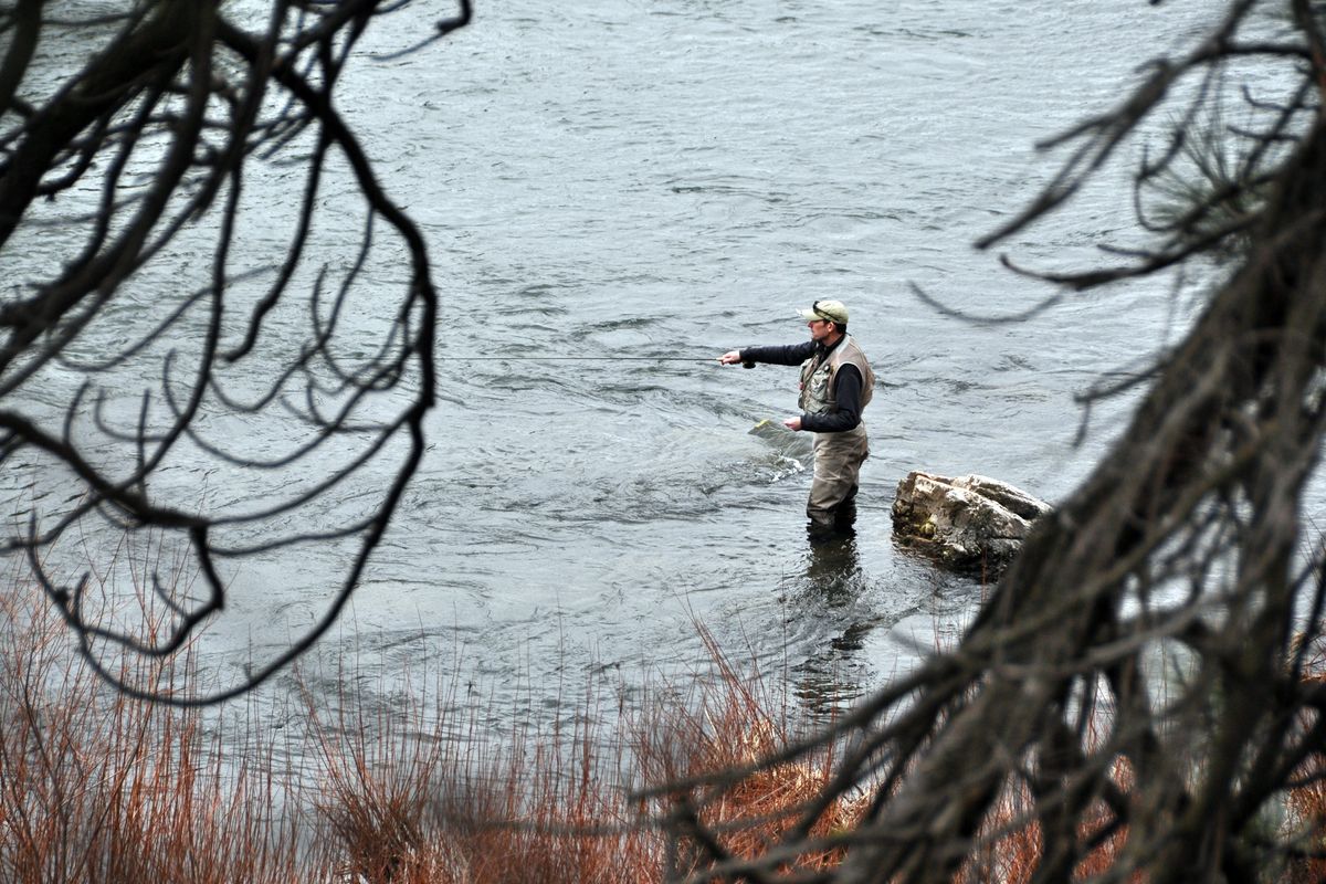 Spokane River is year-round attraction for local fly fisher