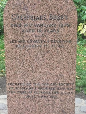 The tale of Greyfriars Bobby has its roots in a 1912 novel  and is a wonderful story of love and loyalty that made for a family friendly Disney movie in 1961.