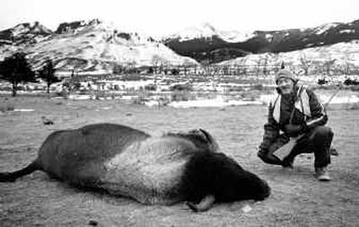 
Hunter Al Krenzler poses beside a buffalo he shot north of Yellowstone National Park during a hunt in the winter of 1989. Montana's wildlife commission agreed Thursday to consider canceling Montana's controversial bison hunt set to start next week, citing concern for a 