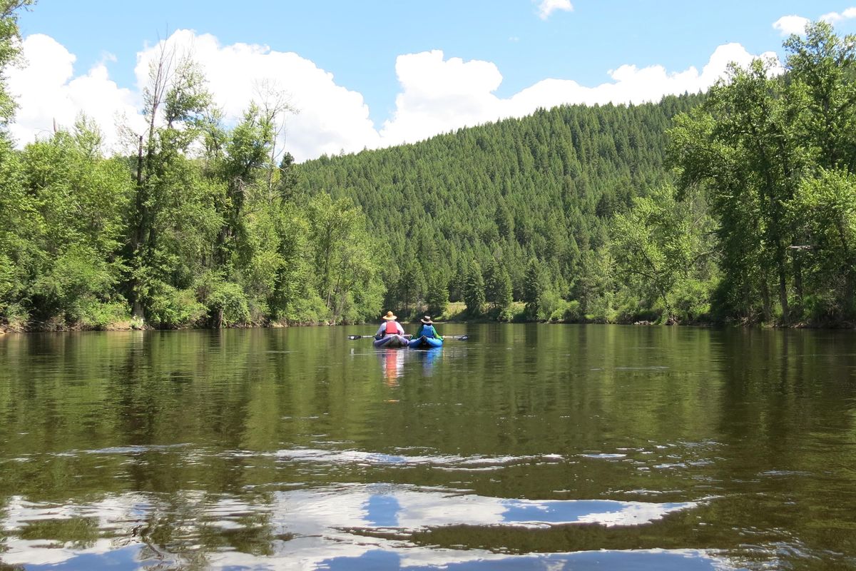 Last summer, Krist Novoselic and his wife, Darbury, paddled the Kettle River in Ferry County with Bobby Whittaker, who worked for SubPop Records back in the day. Whittaker said that trip helped bait the hook for Novoselic to return to Eastern Washington, this time with his new band, Giants in the Trees, in tow. (Bobby Whittaker)